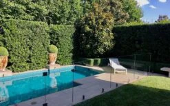 Bay Laurel (Sweet Bay) - Laurus Nobilis - 1 Gallon Pot 15 Bay Laurel (Sweet Bay) - Laurus Nobilis - 1 Gallon Pot -Garden Plants Shop Bay Laurel 7