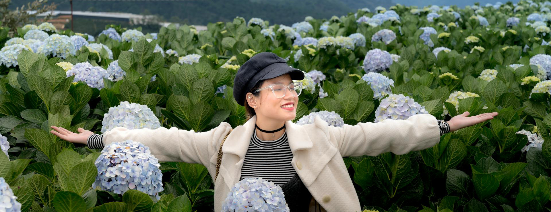 Garden Plants Shop 1 Garden Plants Shop -Garden Plants Shop pexels quang nguyen vinh 222549 2518840